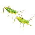 thumbnail image 2 of 2 Pcs Outdoor Statues Wall Art Garden Ant Art Locust Lawn Ornament Grasshopper Figurine Ant Indoor Wall Decor, 2 of 3