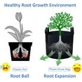 thumbnail image 2 of OGOTIP 10 Gallon Plant Grow Bags  Heavy Duty Thickened Nonwoven Fabric Pots with Handles Black, 2 of 8