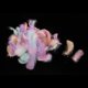 thumbnail image 3 of 100 plumas naturales para manualidades, atrapasueños, sombreros y decoración del hogar. Mezclado, 3 of 9