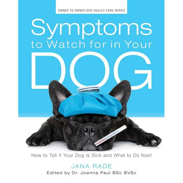 Symptoms to Watch for in Your Dog How to Tell If Your