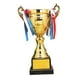 thumbnail image 5 of Premio de Metal Trofeo Ganar Primer Lugar Trofeos Trofeo Copa Premio Trofeo para Favores de Fiesta Escuela Aula Props 30 centimetros Hugo Trofeo de premio, 5 of 10