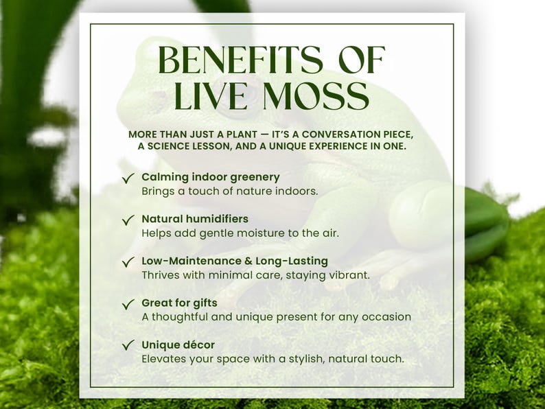 Live Moss Variety Pack for Terrariums – Fresh Live Moss – Natural Green Moss – Pet-Safe Moss for Reptile Tanks, Fairy Gardens, and Indoor Décor