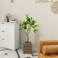 thumbnail image 4 of Costway 1 PCS 2.6 FT Tall Artificial Lemon Tree with Lemon Fruits, Cement Pot for Porch, Office, 4 of 10