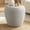 19.29"Beige, variant on Arouseden 19.29" Faux Stone Side Table,Fiberglass Black Side Table for Small Space,Modern End Table for Living Room,No Need Assembly