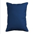 thumbnail image 2 of Betsy Drake Interiors Leaning Palm Large Indoor/Outdoor Pillow 16x20, 2 of 3