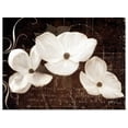 thumbnail image 1 of Great BIG Canvas | Rolled Amy Melious Poster Print entitled Garden Love Letter I, 1 of 4