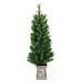 thumbnail image 2 of 4' Pre-Lit Potted Artificial Concord Pine Christmas Tree - Clear Lights, 2 of 2