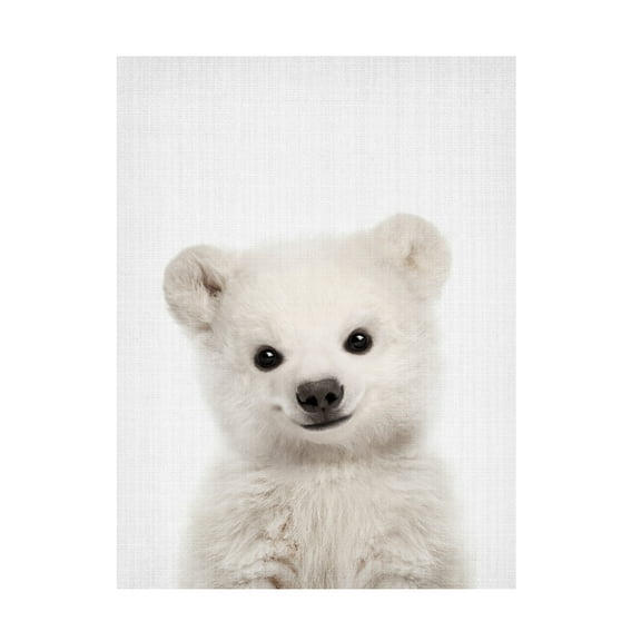 Lola Peacock 'Peekaboo Baby Polar Bear' Canvas Art