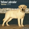 Labrador Retriever Calendar 2018 (Yellow) - Dog Breed Calendar - Wall Calendar 2017-2018