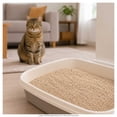 thumbnail image 4 of Arena para Gato Aurrera 10 Kg, 4 of 5