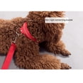 thumbnail image 4 of Collares duraderos ajustables para mascotas para perros, collar para perros, 4 of 5