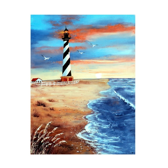 Trademark Fine Art 'Cape Hatteras And Sea Oats' Canvas Art by Arie Reinhardt Taylor