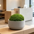thumbnail image 4 of Moss for Potted Plants, Artificial Green Moss for Crafts Moss Reindeer Moss, Lifelike for Flower Garden Lawn Decoration, Home Studio Restaurant, 4 of 4