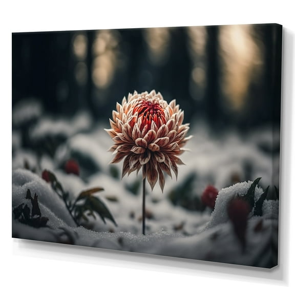 Designart A Blooming Red Dahlia Flower In Winter III Canvas Wall Art