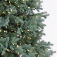 thumbnail image 4 of National Tree Company 6.5 ft. Feel Real® Wellesley Fir Hinged Tree with Dual Color® LED Lights & PowerConnect, 4 of 4