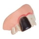 thumbnail image 5 of Dientes Divertidos de Broma Sunnimix Mordaza fea Dientes falsos 5 piezas, 5 of 8