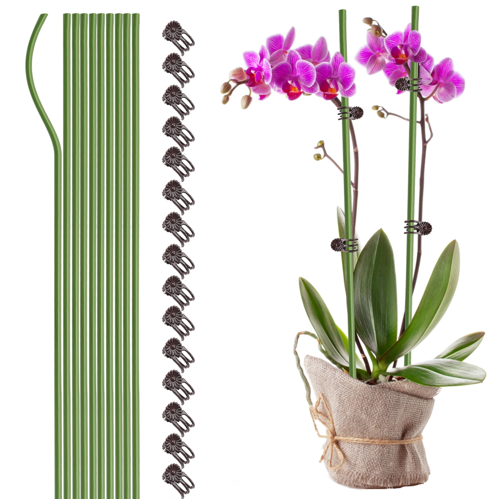Details about   50Pcs Plants Fix Clips Orchid Stem Vine Support Flowers Tied Branch Clamping US 