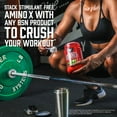 thumbnail image 6 of BSN Amino X Amino Acids + BCAA Powder, Watermelon, 30 Servings, 6 of 9