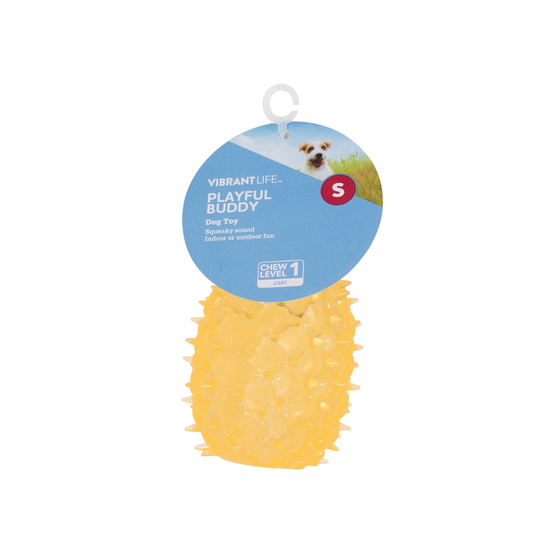 (4 pack) Vibrant Life Squeaky Fruit Dog Toy, Assorted Designs, 1 Count