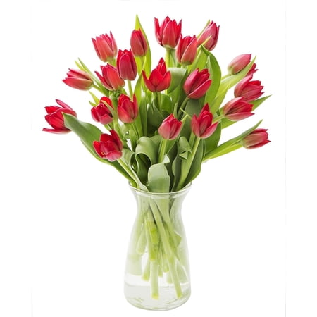 KaBloom: Fall Collection- Bouquet of 20 Red Tulips with Vase,Next-Day Delivery, Gift of Fresh Flowers for Every Occasion.