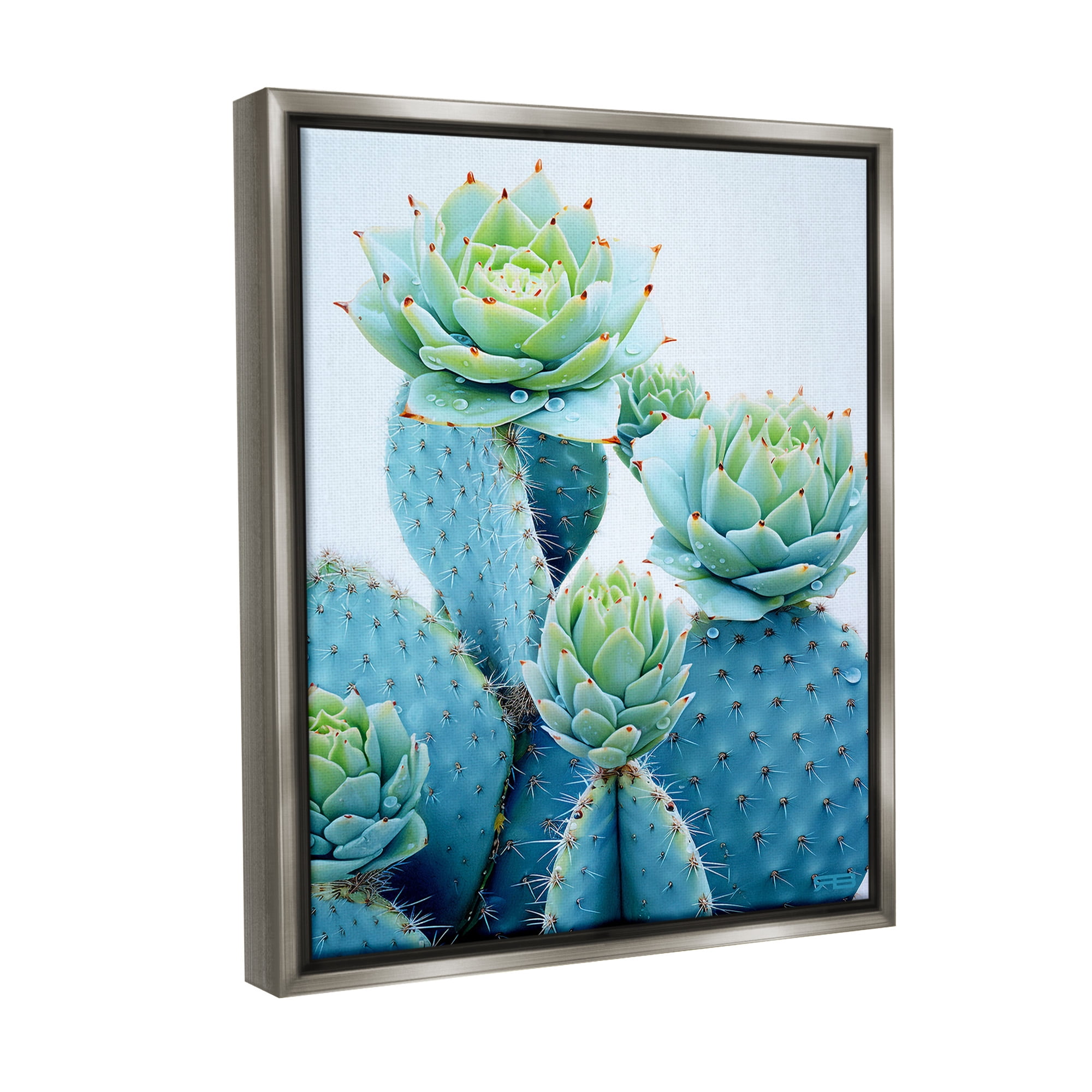 Stupell Industries Cactus with Succulent Blooms Botanical & Floral Painting Gray Floater Framed Canvas Art Print Wall Art, 17 x 21