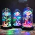 thumbnail image 1 of LED Lamp Glass Cover Rose Flower Micro Landscape Decorative Light Christmas Gift, 1 of 8