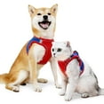 thumbnail image 1 of Litake Dog Harness Leash Set Contrast Color Escape-proof Reflective Design Vest Harnesses for Small Medium Dogs Cats, 1 of 9