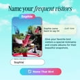 thumbnail image 4 of Comedero inteligente para colibríes Bird Buddy Smart Non-Solar Pro, 4 of 9