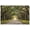 Unframe-style, variant on Southern Live Oak Tree Avenue Wall Art Spanish Moss Nature Landscape Poster