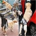 thumbnail image 3 of Dog Sling for Elderly Dogs,Hind Leg Support Harness for Rehabilitation of Weak Hind Legs, Disabilities, and Injuries, 3 of 6