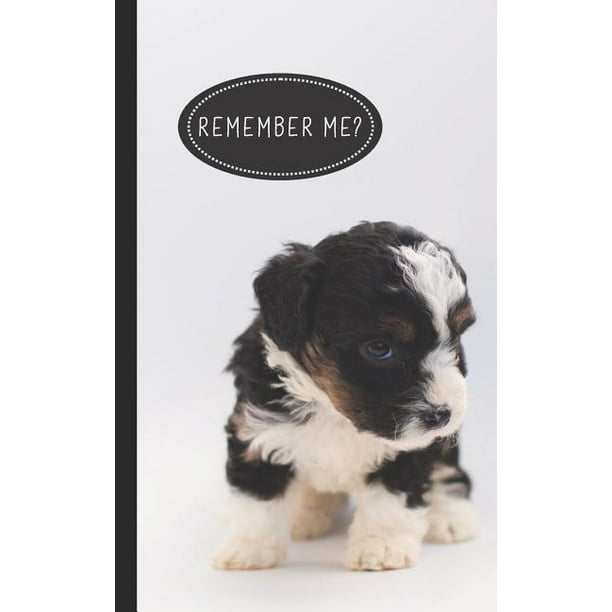 Remember Me? : Discreet Internet Password Organizer - Store Websites