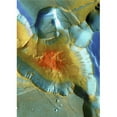 thumbnail image 1 of Posterazzi DPI1797386 Mars Aerial View Poster Print by Steve Nagy, 12 x 18, 1 of 1