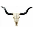 thumbnail image 5 of Ebros Large 27"Wide Longhorn Steer Cow Skull Wall Head Hanging Sculpture Plaque, 5 of 9