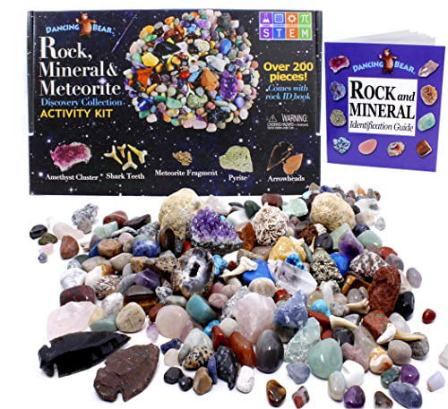 Dancing Bear Rock & Mineral Collection Activity Kit 200+Pcs with Geodes 