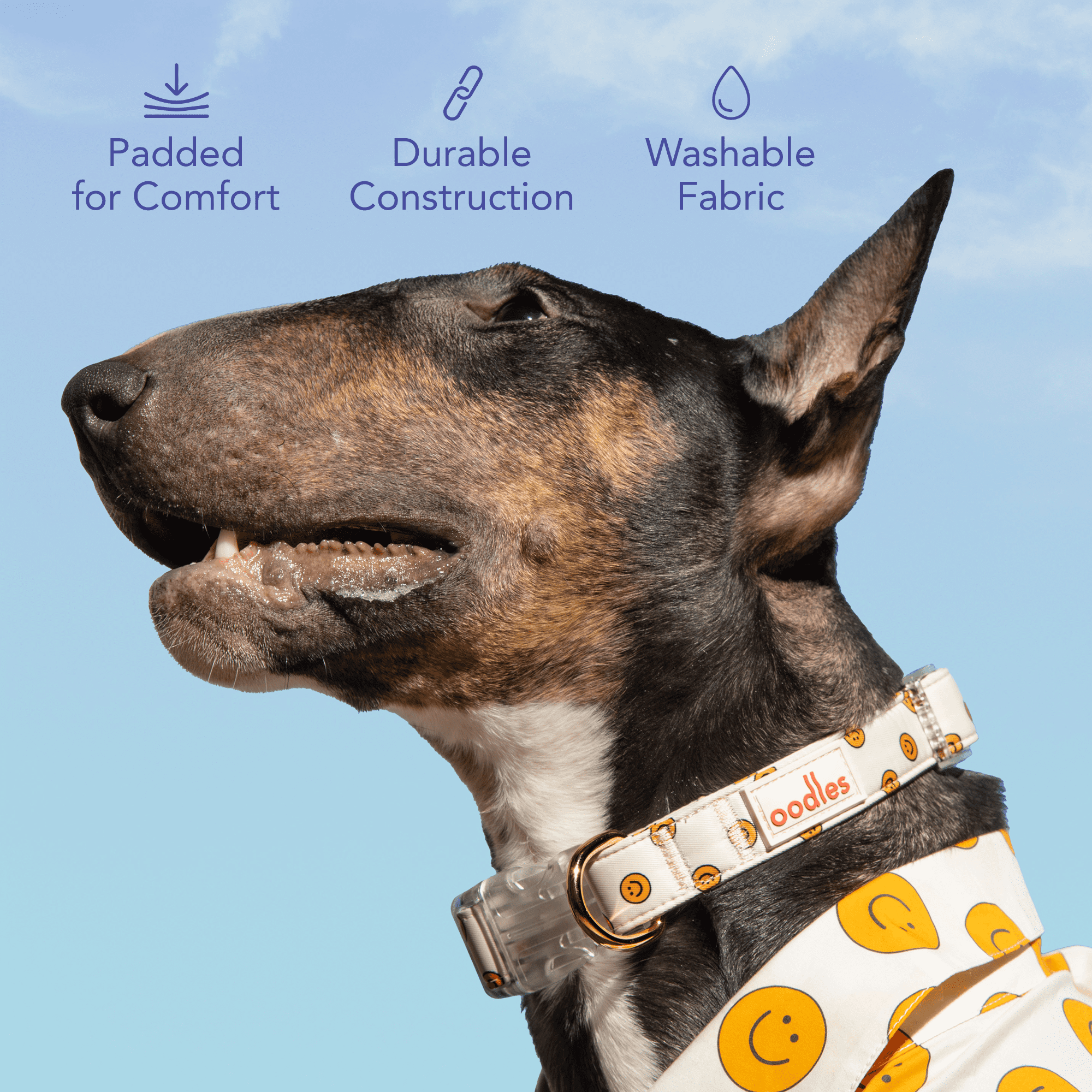Oodles Tan Smiley Faces Adjustable Fashion Dog Collar, Small