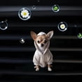 thumbnail image 4 of Cartoon Chihuahua hoodie 2 acrylic car air conditioning vent freshener - solid fragrance decoration, cute dog hoodie design, long-lasting scent, interesting car accessories, 4 of 5
