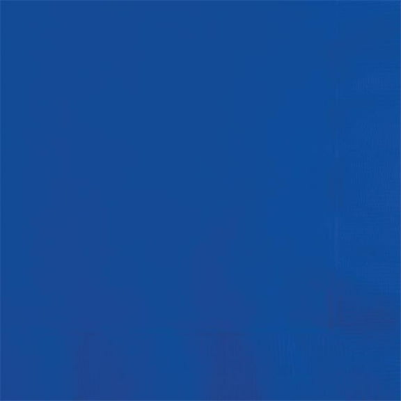 Group  2 Ply Cobalt 0.12 FLD Dinner Napkins, Pack of 6 - 100 per Pack