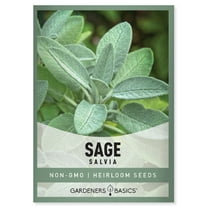Broadleaf Sage Seeds