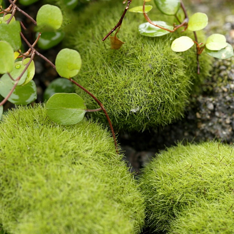 keusn moss artificial moss for potted greenery moss home decor