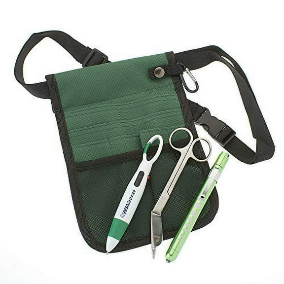 AsaTechmed Nurse Pro Pack Pocket Organizer Pouch Hip Bag Medical Organizer Belt | Utility Medical Gear Kit | Antimicrobial, HHA, EMT, CNA, NP, PA, Student, Nurse Kit - TOOLS INCLUDED (Green)