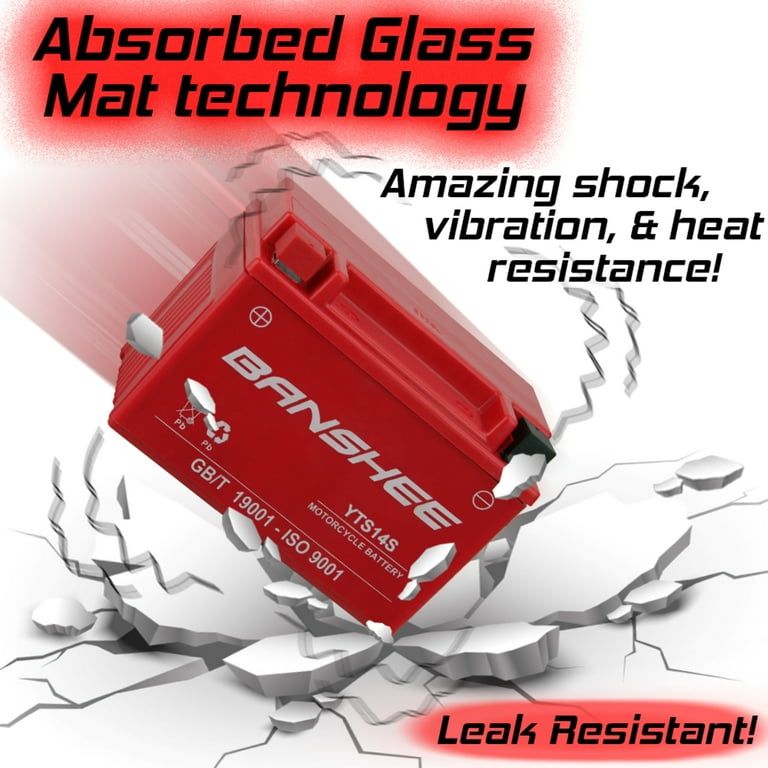 Banshee Battery Replacement for Yuasa YTZ14S Battery