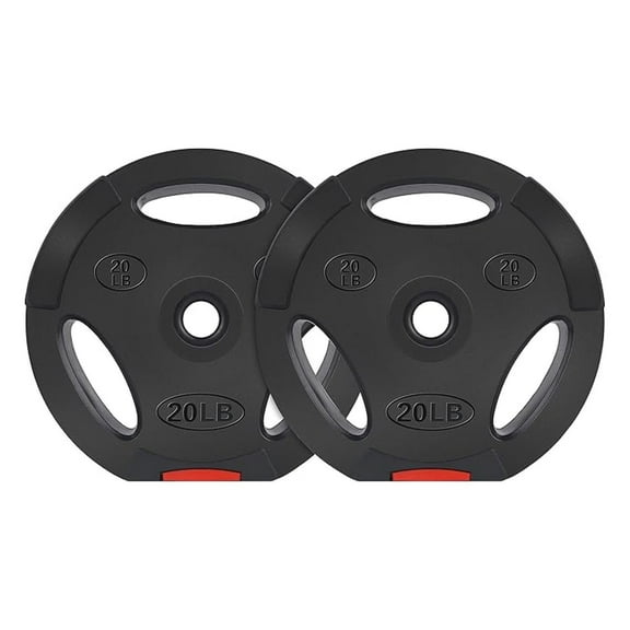 Vinyl Weight Plates - 20 lb Pair - 1 Inch Standard Hole - Strength Training, Weightlifting, Home Gym - Durable, Odor-Free, Cement Filled