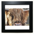 thumbnail image 1 of m Animal Buffalo Black Square Frame Picture Wall Tabletop, 1 of 3