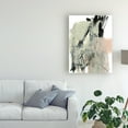 thumbnail image 3 of Trademark Fine Art 'Blush And Black II' Canvas Art by Jennifer Goldberger, 3 of 4
