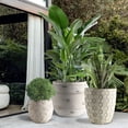 thumbnail image 4 of [3-Piece Set] 17/12/9 Inch Modern Concrete Planters - with Drainage Holes & Rubber Plugs, Heavy-Duty Indoor/Outdoor Flower Pots (SH007), 4 of 14