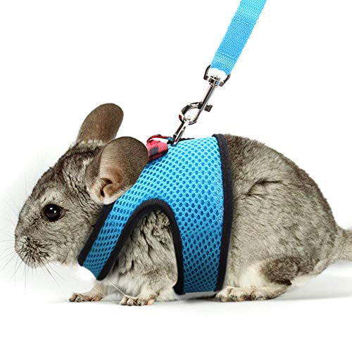 guinea pig harness and leash