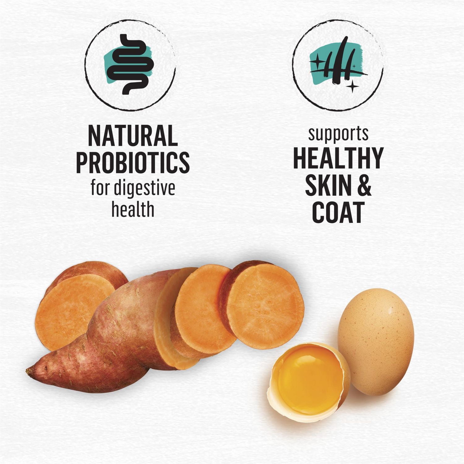 Beyond Grain Free Wild-Caught Whitefish & Free Run Egg Recipe, Dry Cat Food 5 kg