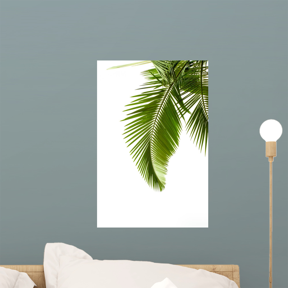 Leaves Palm White Wall Decal by Wallmonkeys Peel and Stick Graphic (18