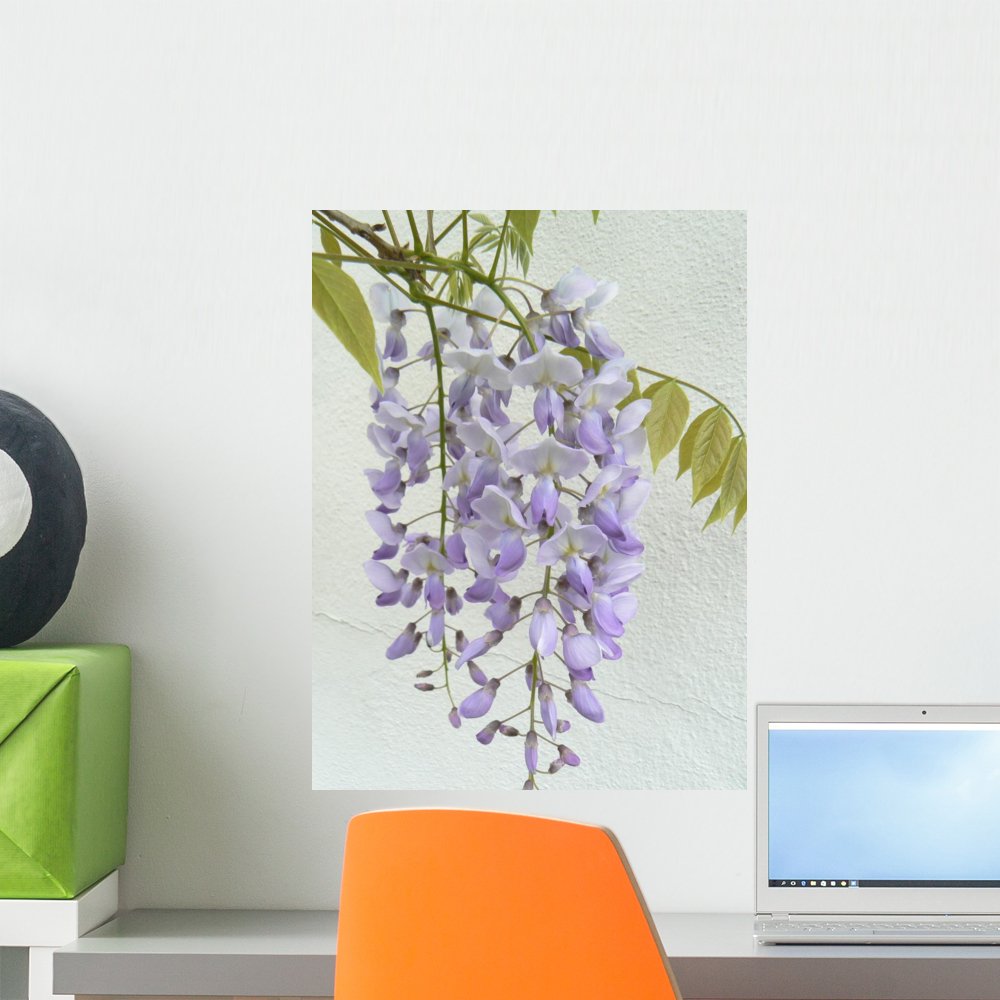 Wisteria Wall Mural by Wallmonkeys Peel and Stick Graphic (18 in H x 14