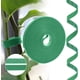 thumbnail image 1 of Green Garden Plant Ties (20Meters*10Mm), Plant Ties Tape Self Adhesive Tape Garden Ties Hook and Loop Adjustable Tree Ties Plant Stakes Cane Holders Gardening Tape, 1 of 5